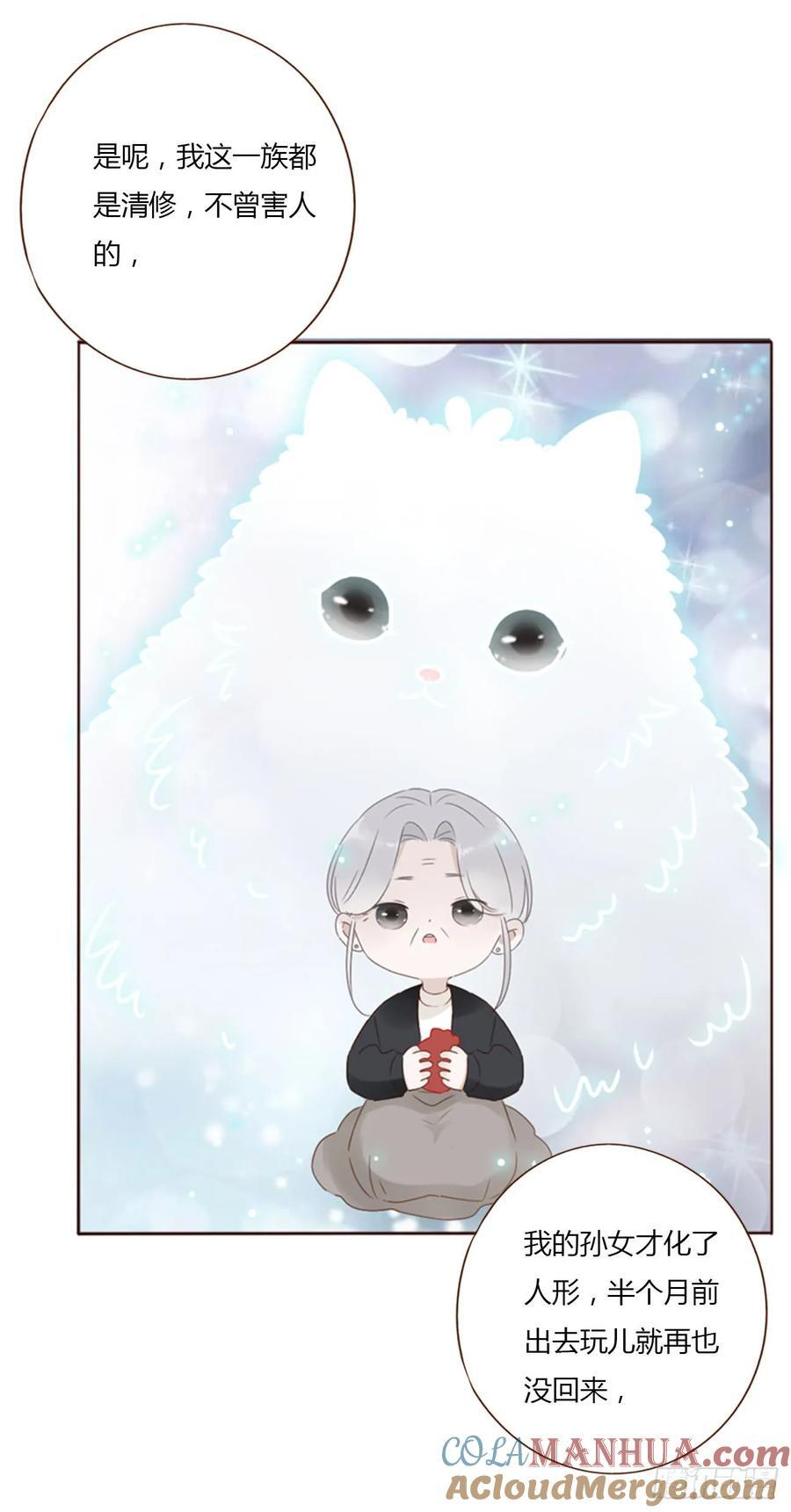 九十五章 小雪宝26