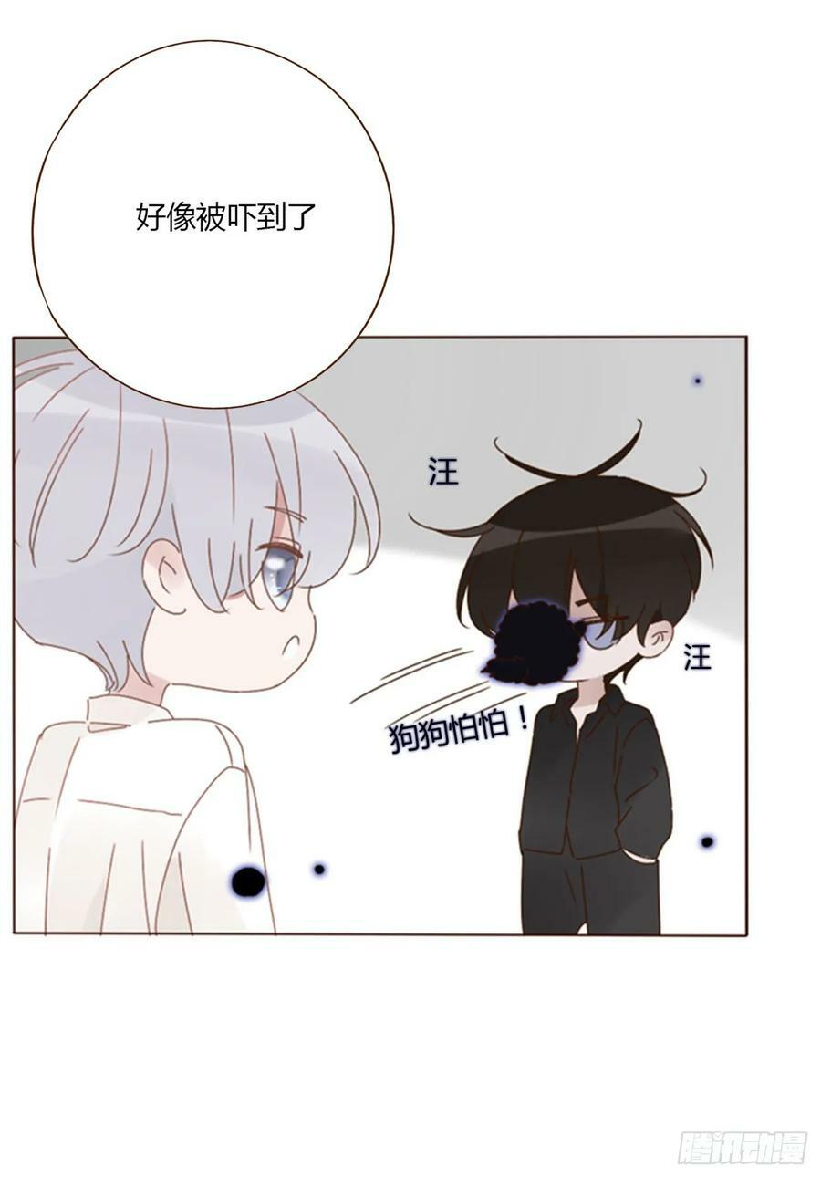 八十三章 虎妖的气息25