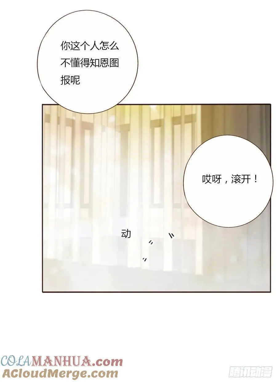 一一六章 猫妖28