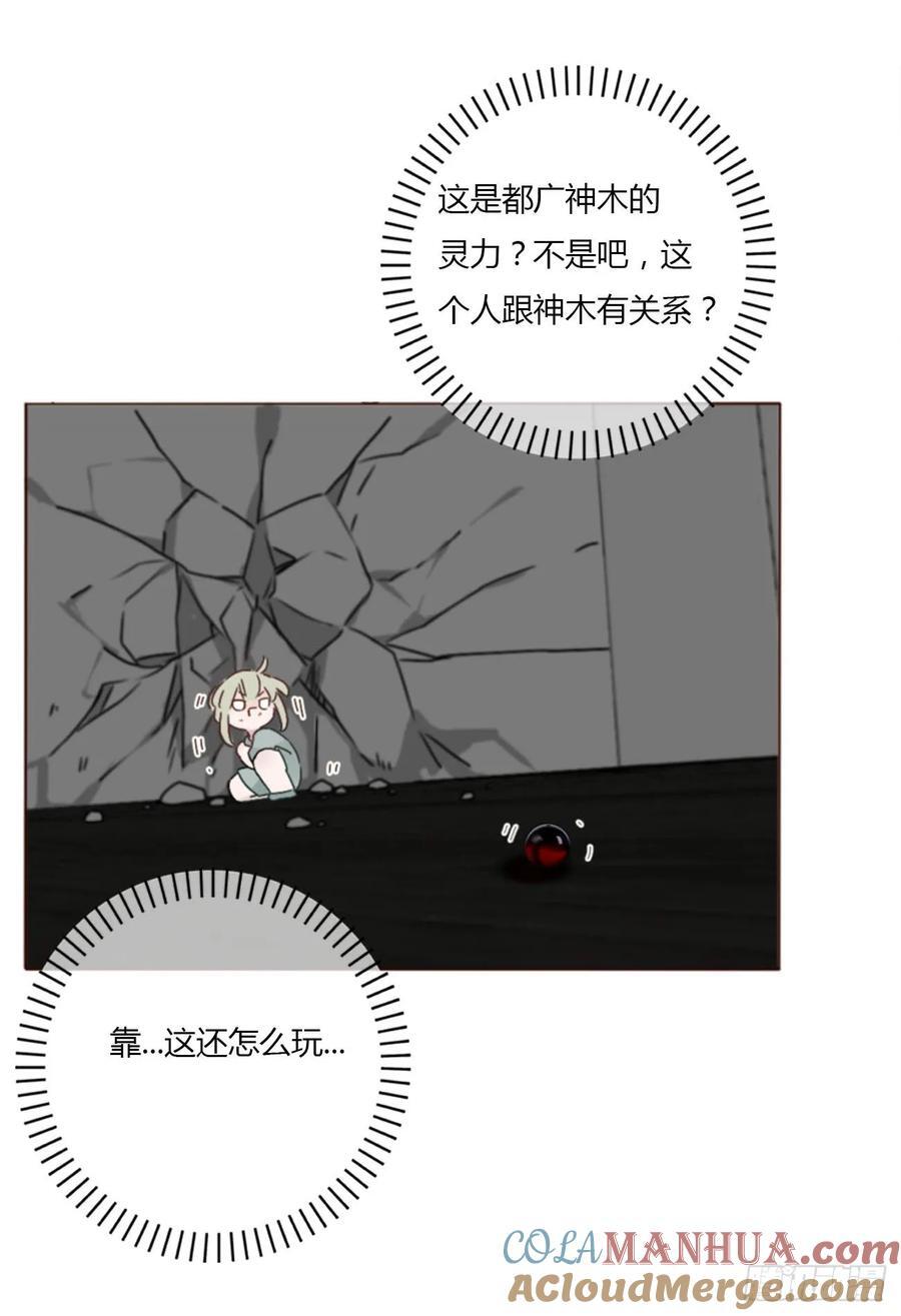 宝贝8