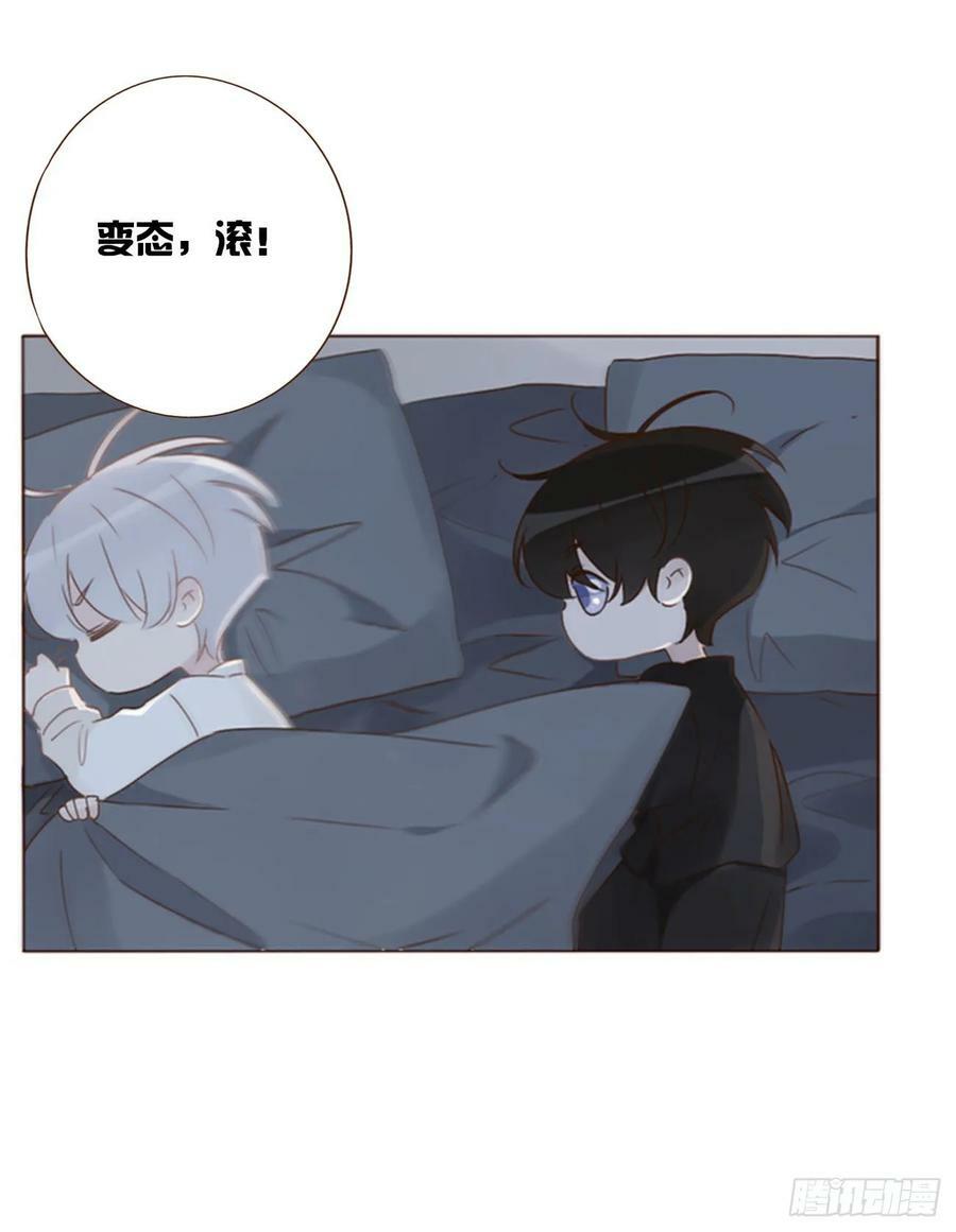 八十四章 对你负责7