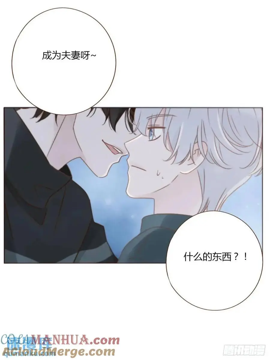 一一五章 成为夫妻32