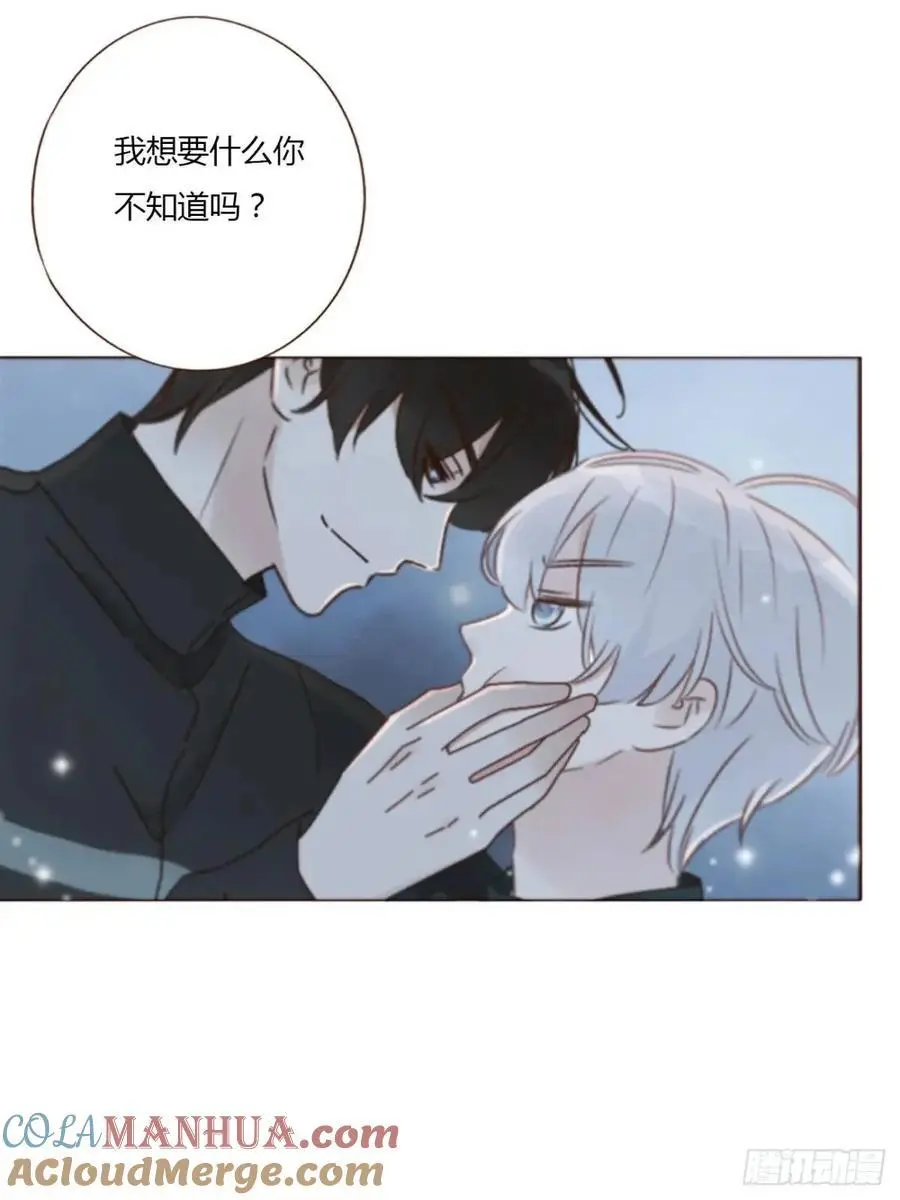 一一五章 成为夫妻24