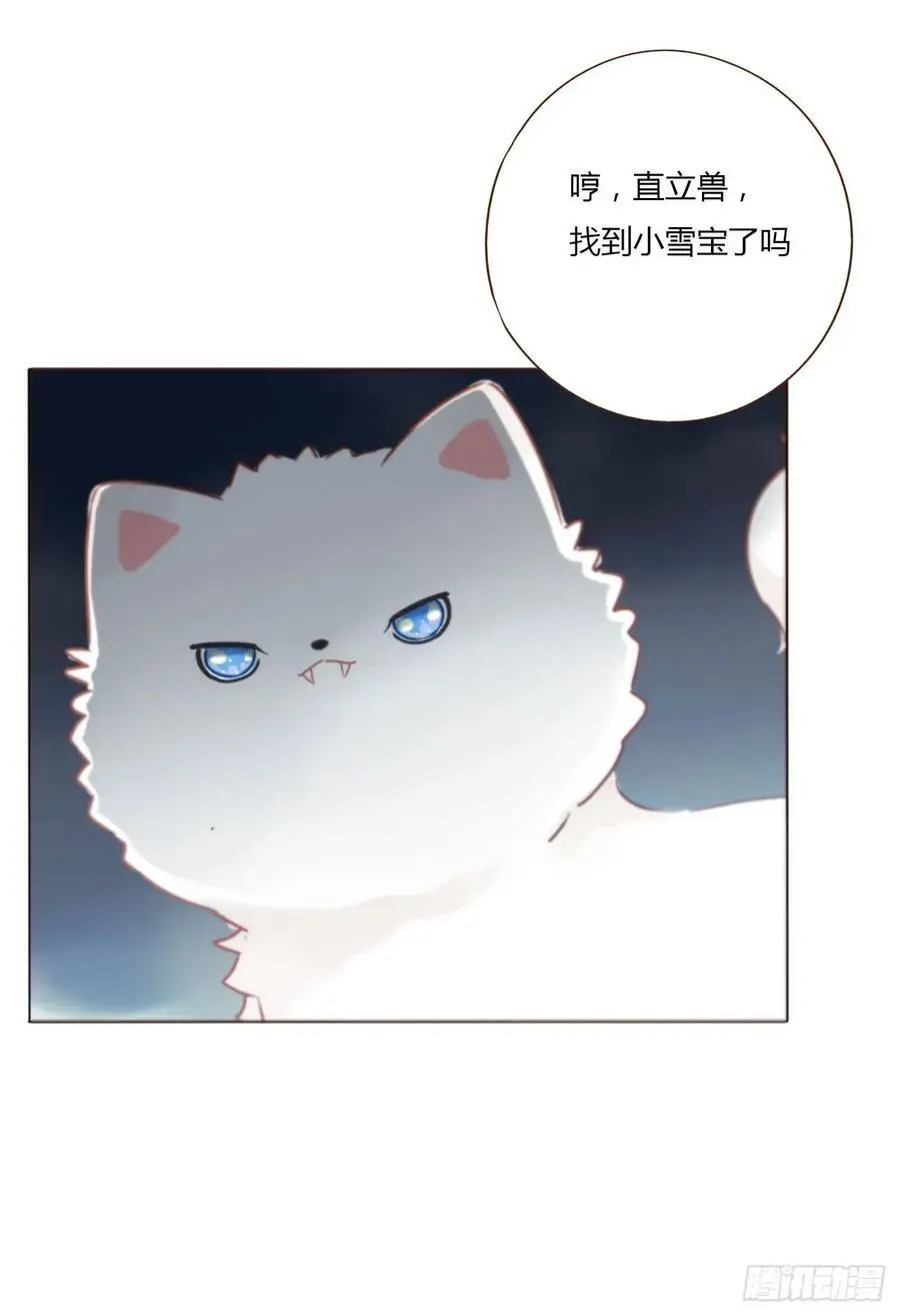 一一六章 猫妖33