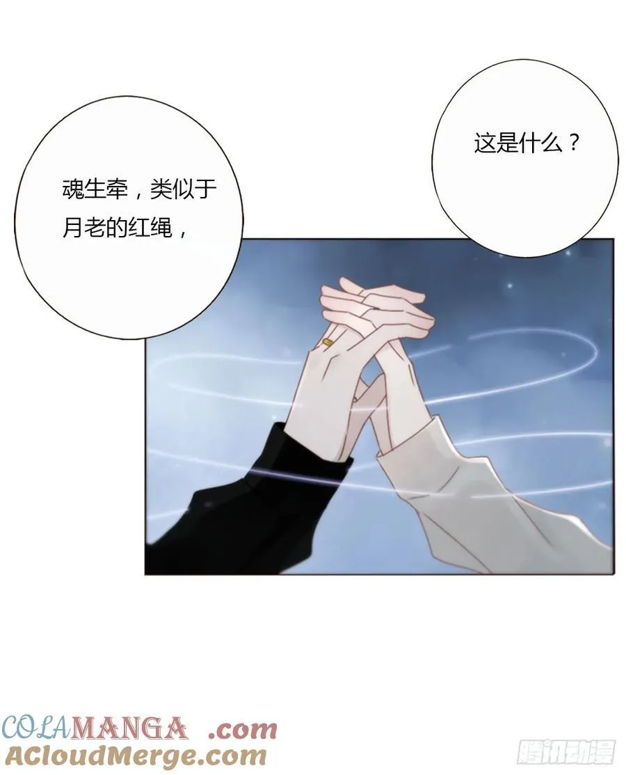一二三章 契约生效20