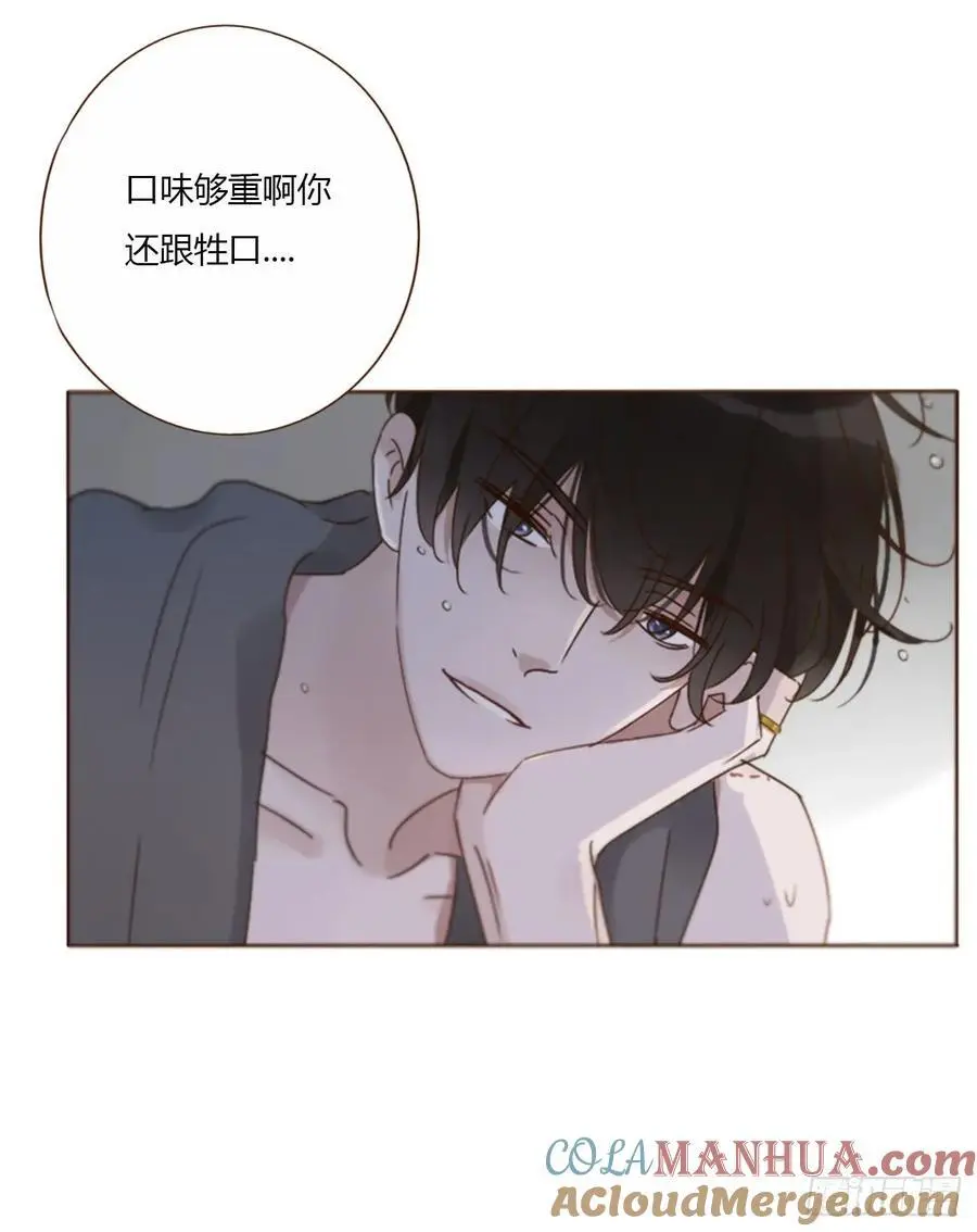 一一六章 猫妖20