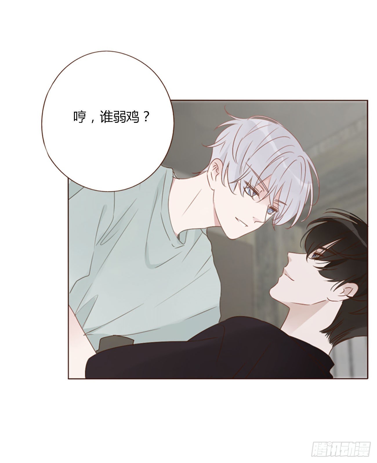 四十九章 打架了9
