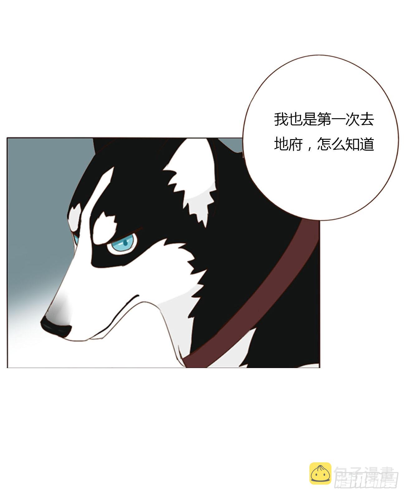 六十七章 殷主簿210