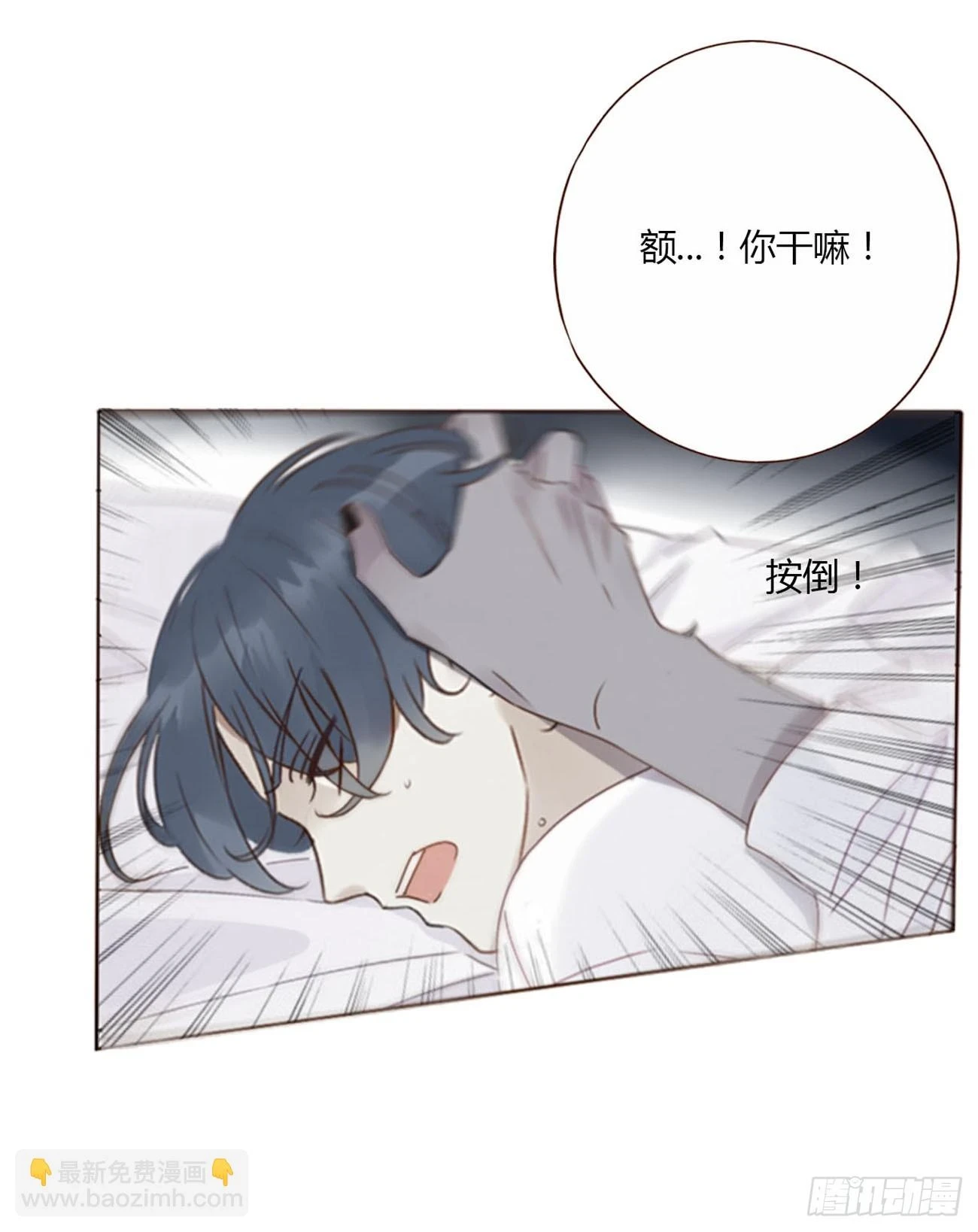 七十二章 官宣16
