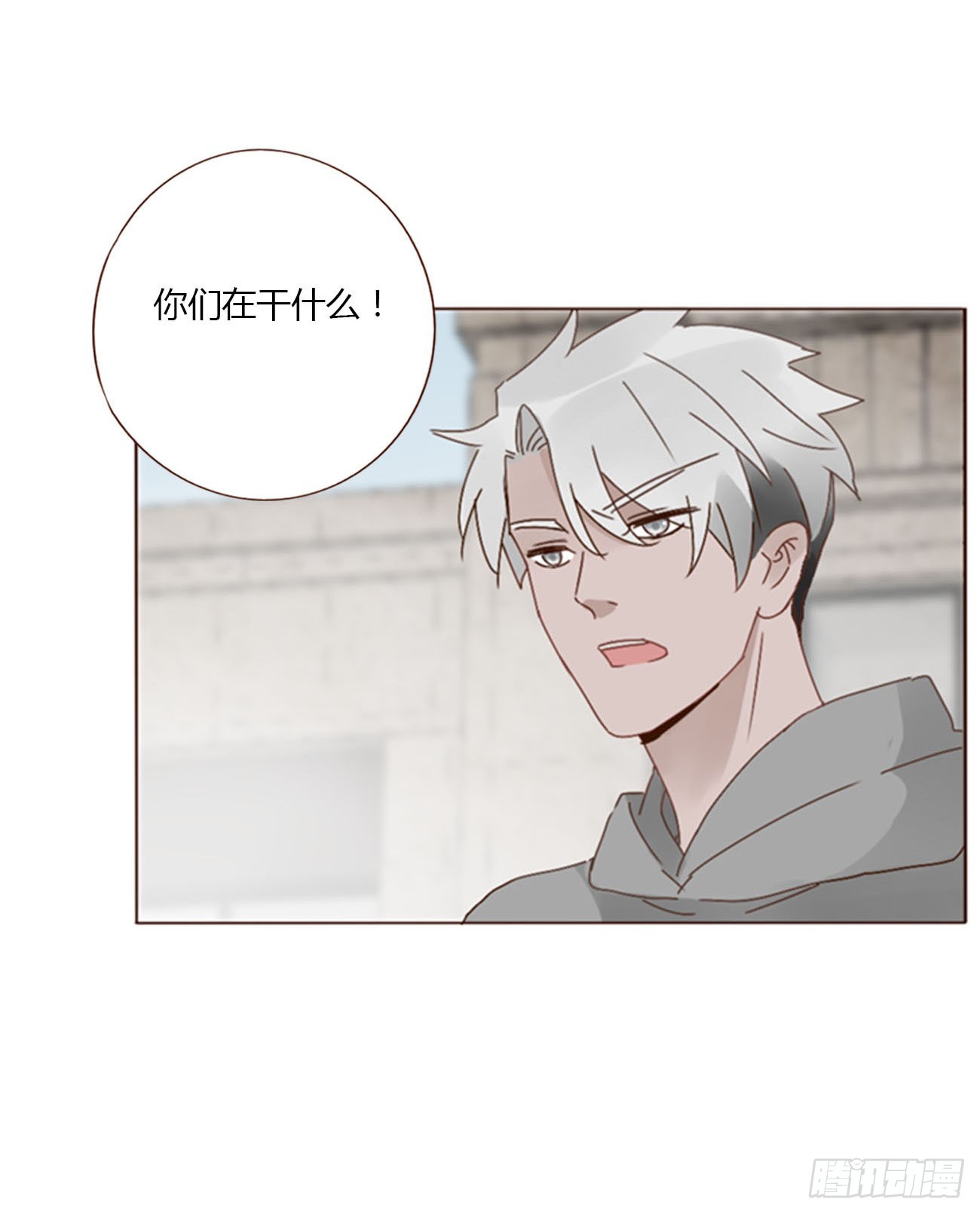 七十章 还是你们好磕11