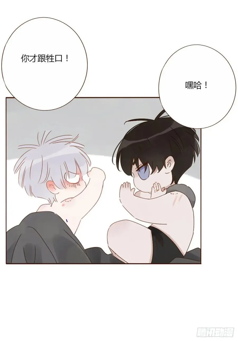一一六章 猫妖21
