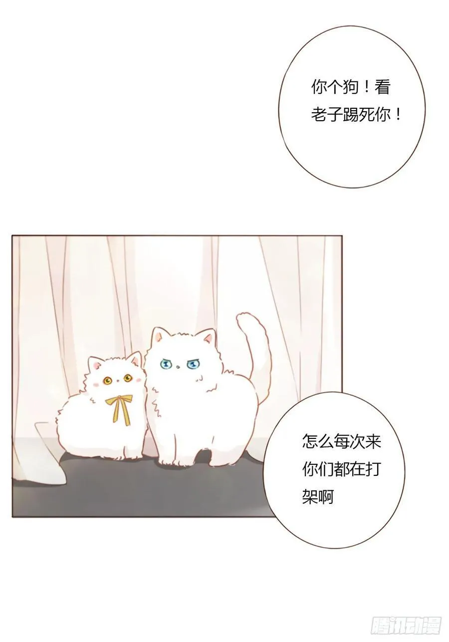 一三二章 小雪宝23
