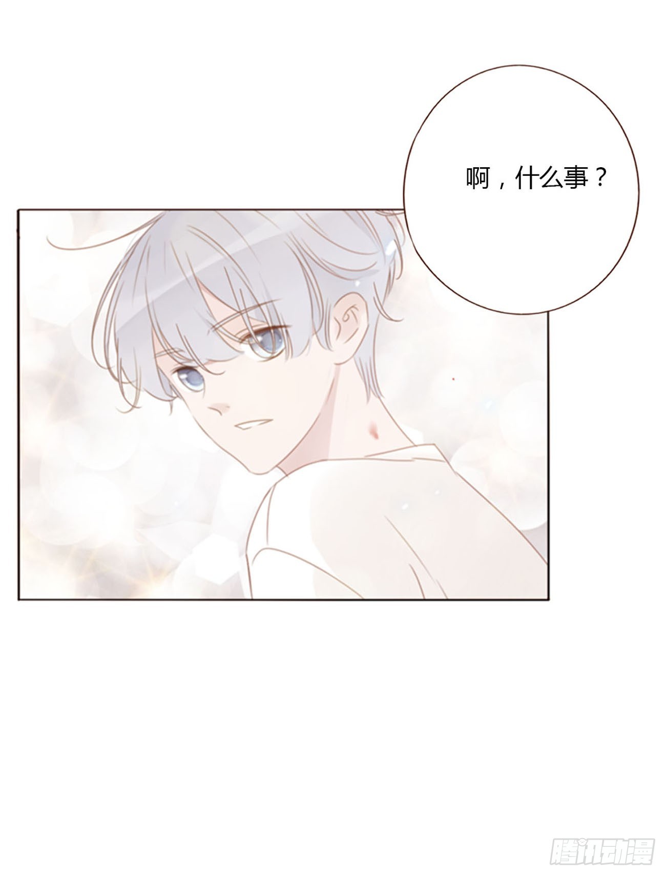 六十八章 千年单身狗40