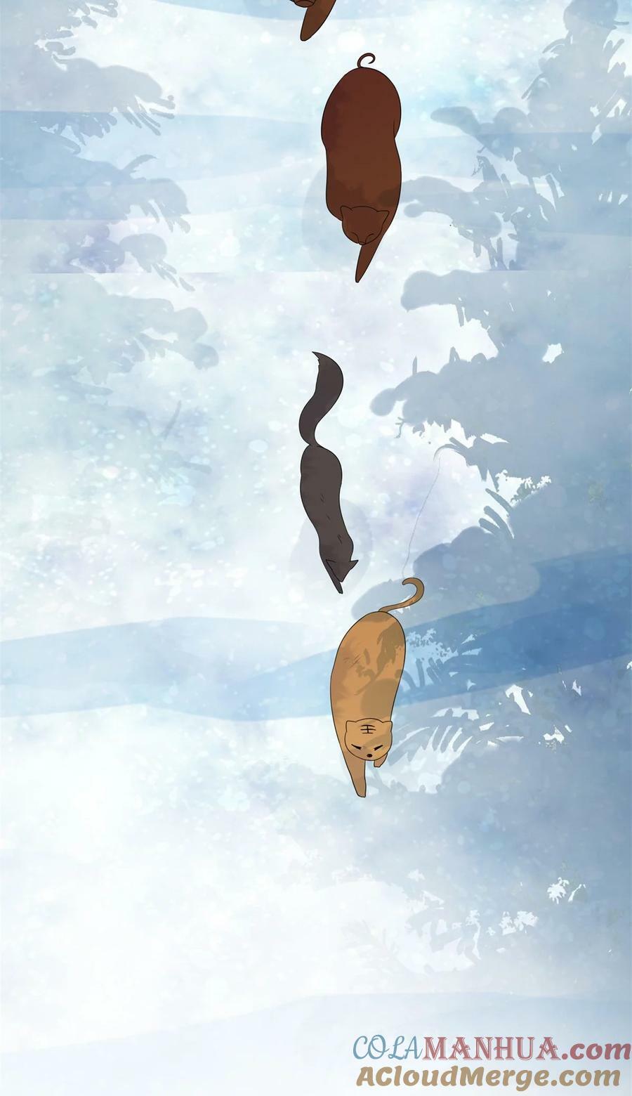 138 我们赢了24