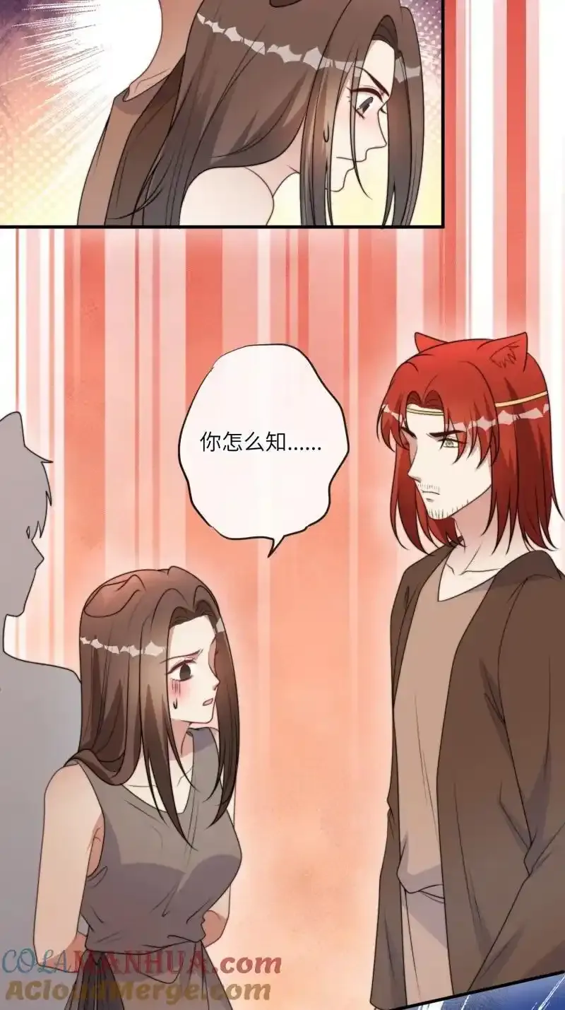 207 201话 乔诺的消息4