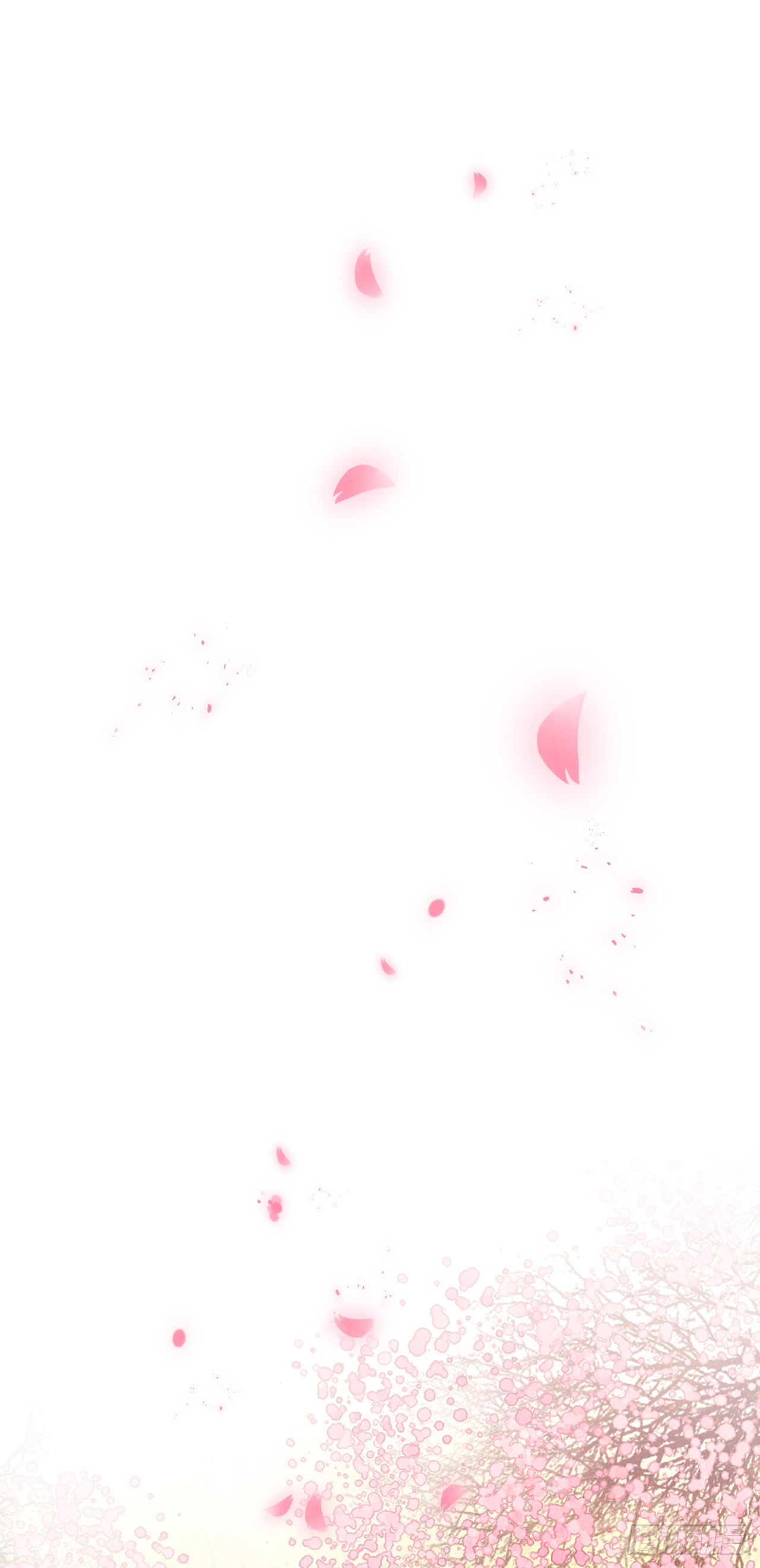 番外·跟屁虫36