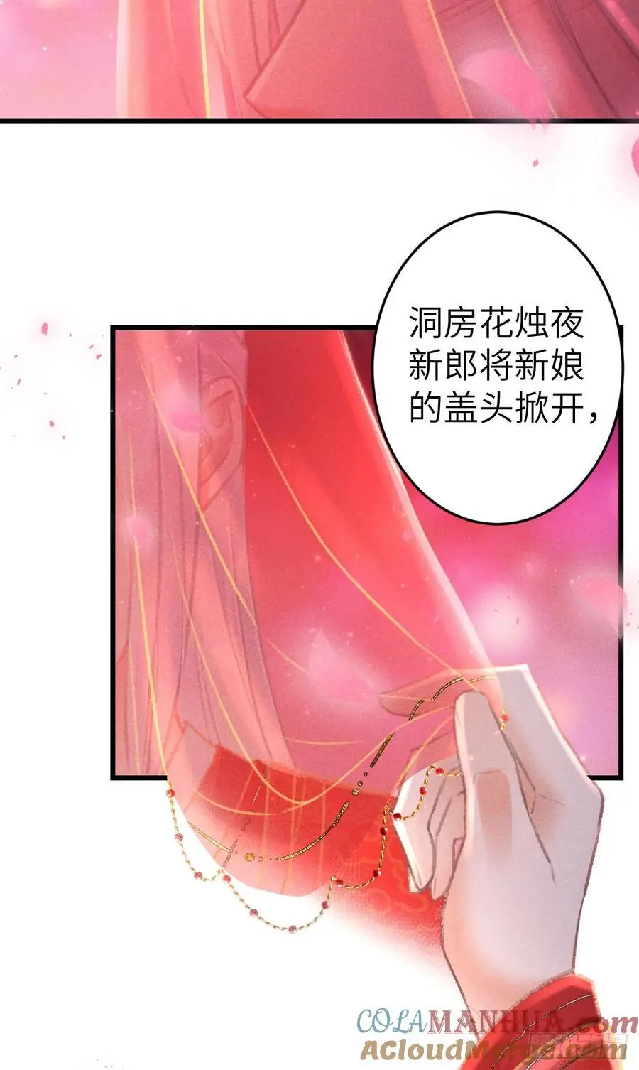 239·洞房花烛221