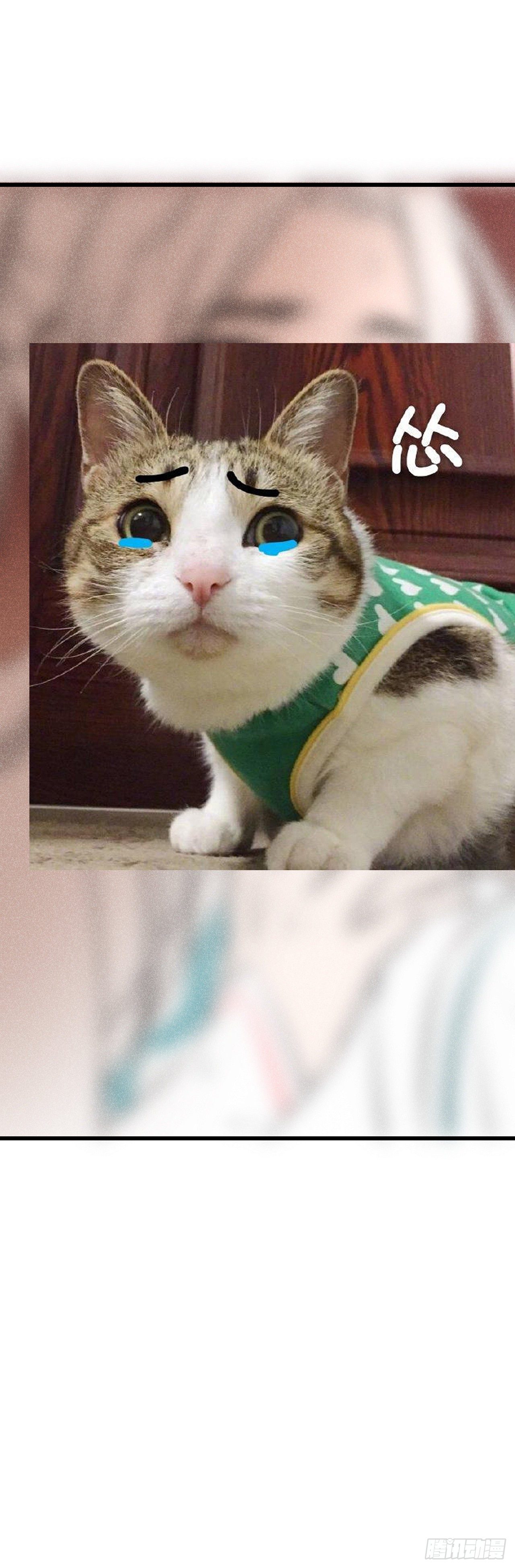 71·意乱迷情（上）28