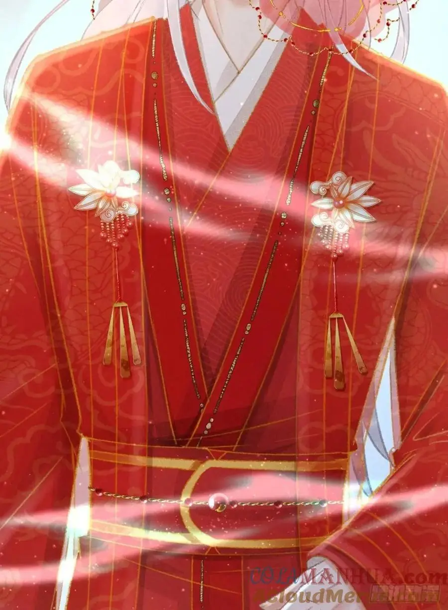 238·洞房花烛166