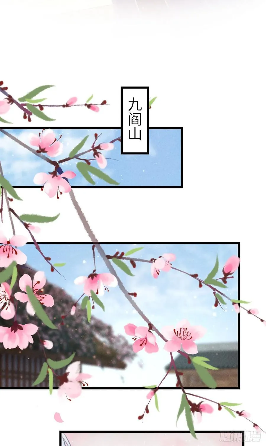249·合作计划25