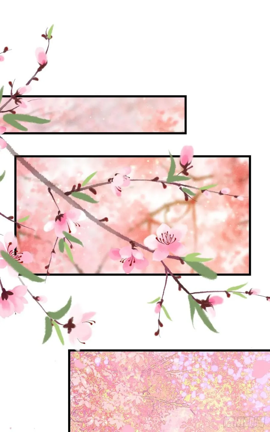 249·合作计划61