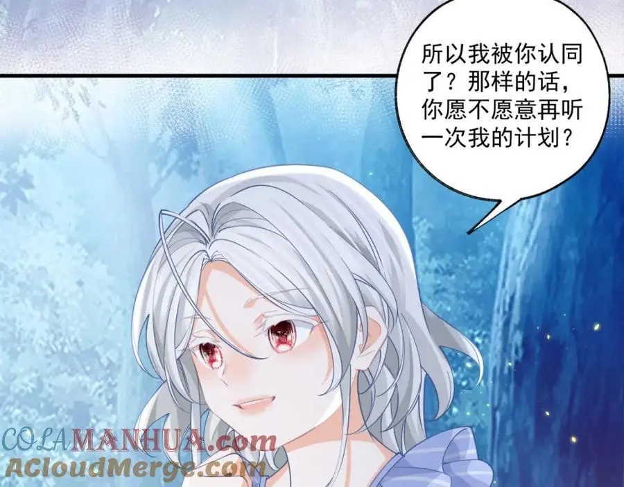 第208话 最后的计划24
