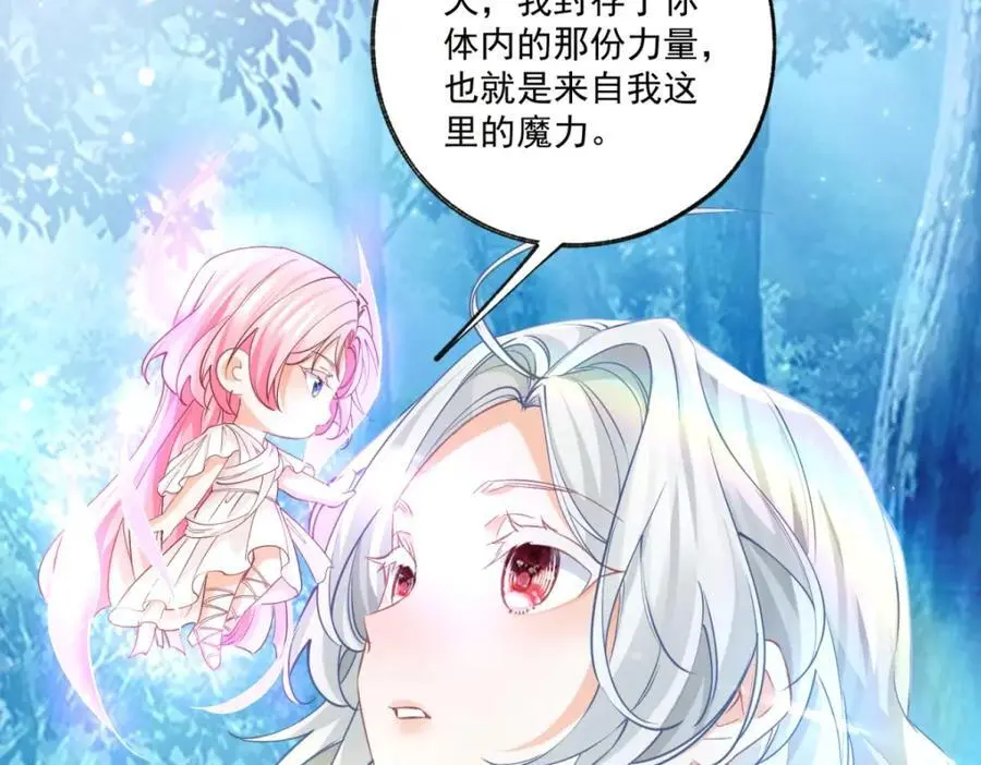 第208话 最后的计划17