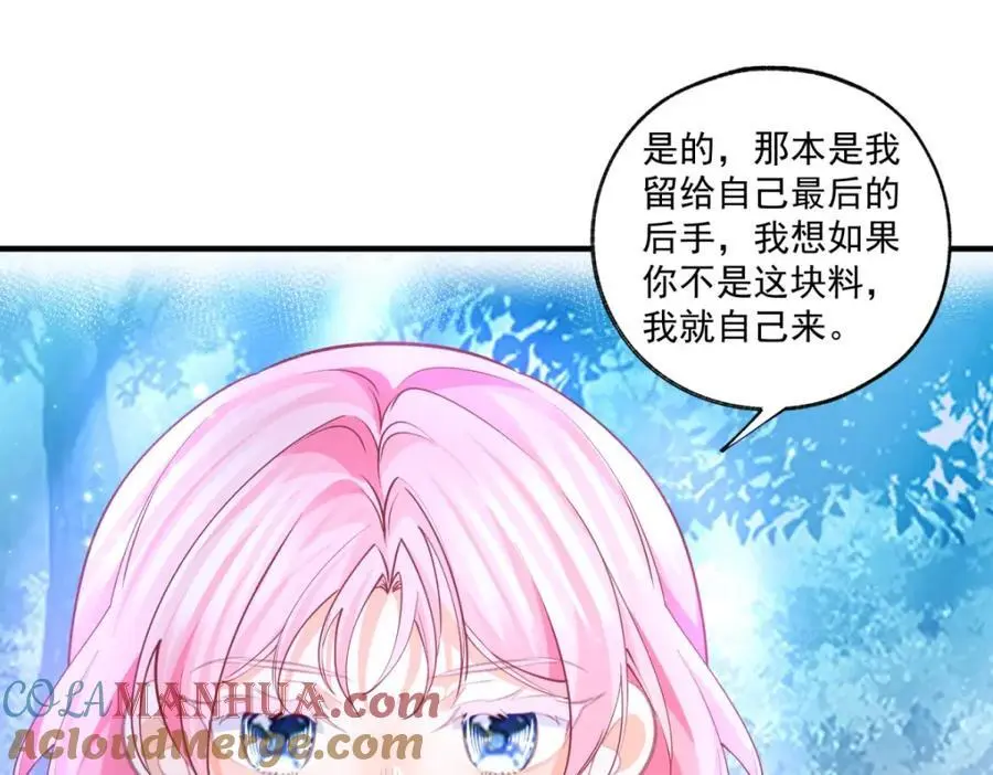 第208话 最后的计划21