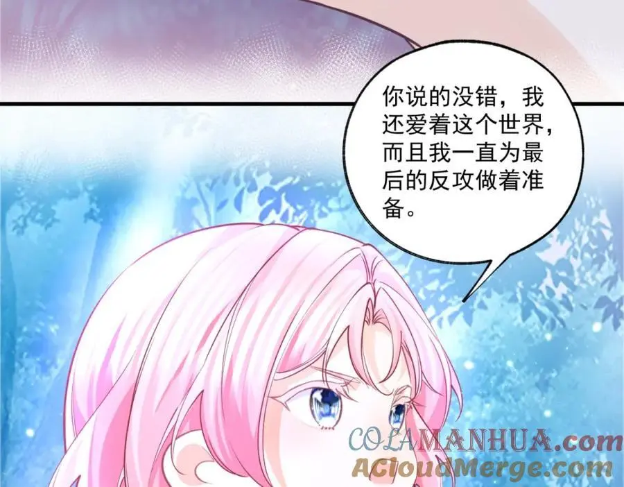第208话 最后的计划15