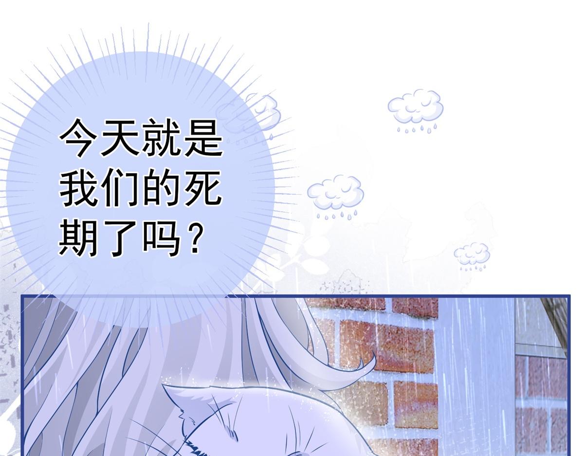 第6话 化猫为书31