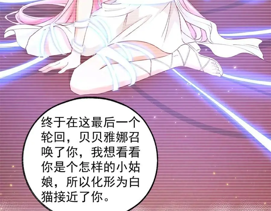 第207话 从猫到书到玩偶49