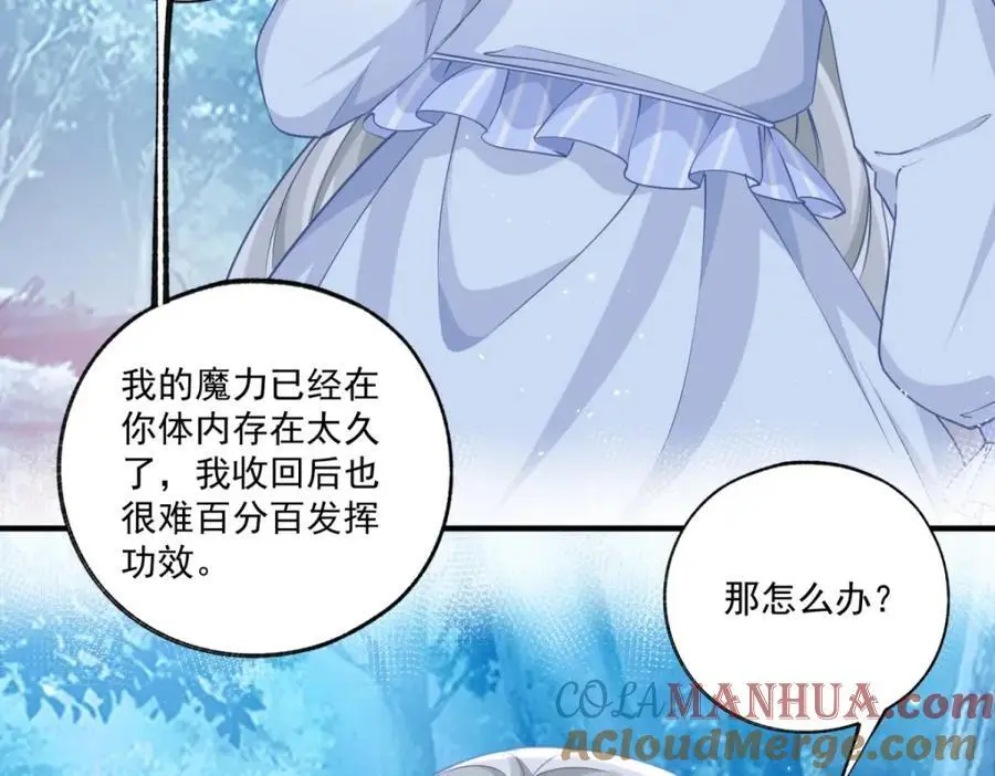 第208话 最后的计划33