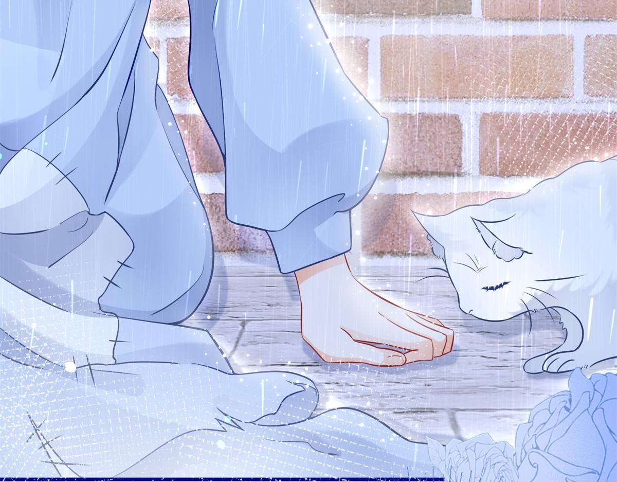 第6话 化猫为书28