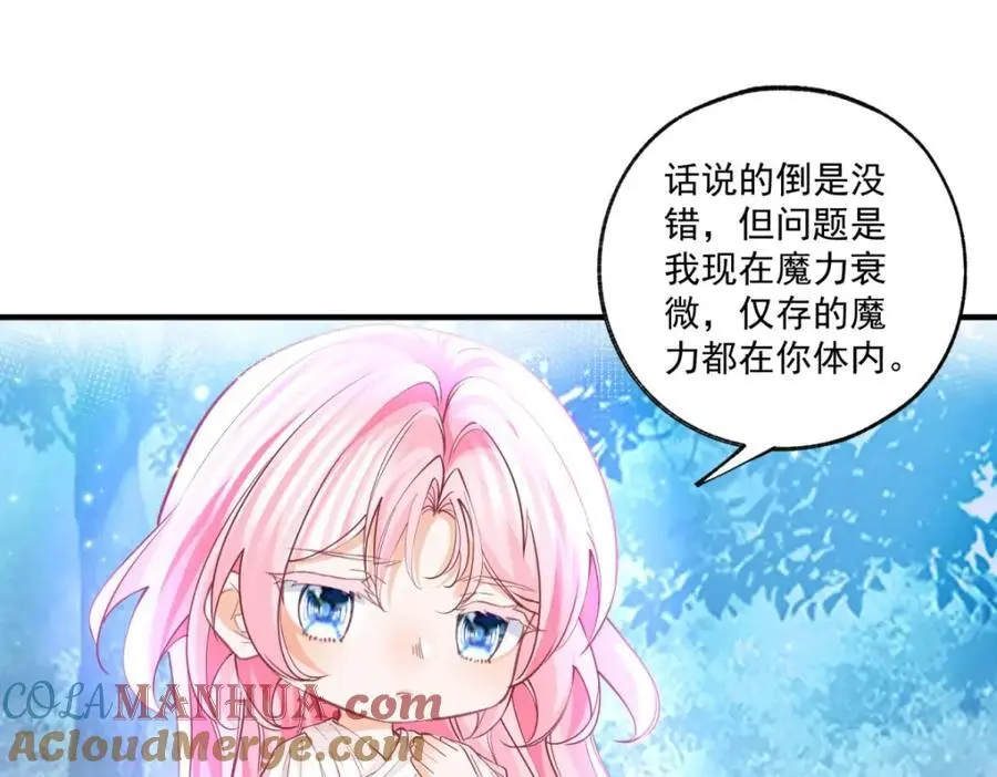 第208话 最后的计划30