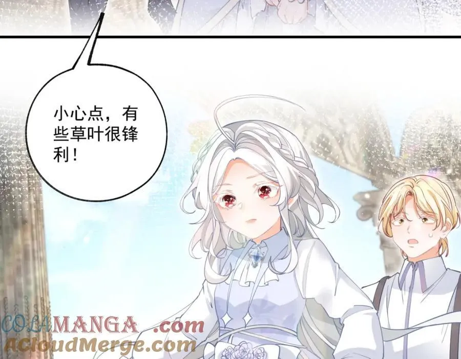第220话 没有神殿没有祭品24