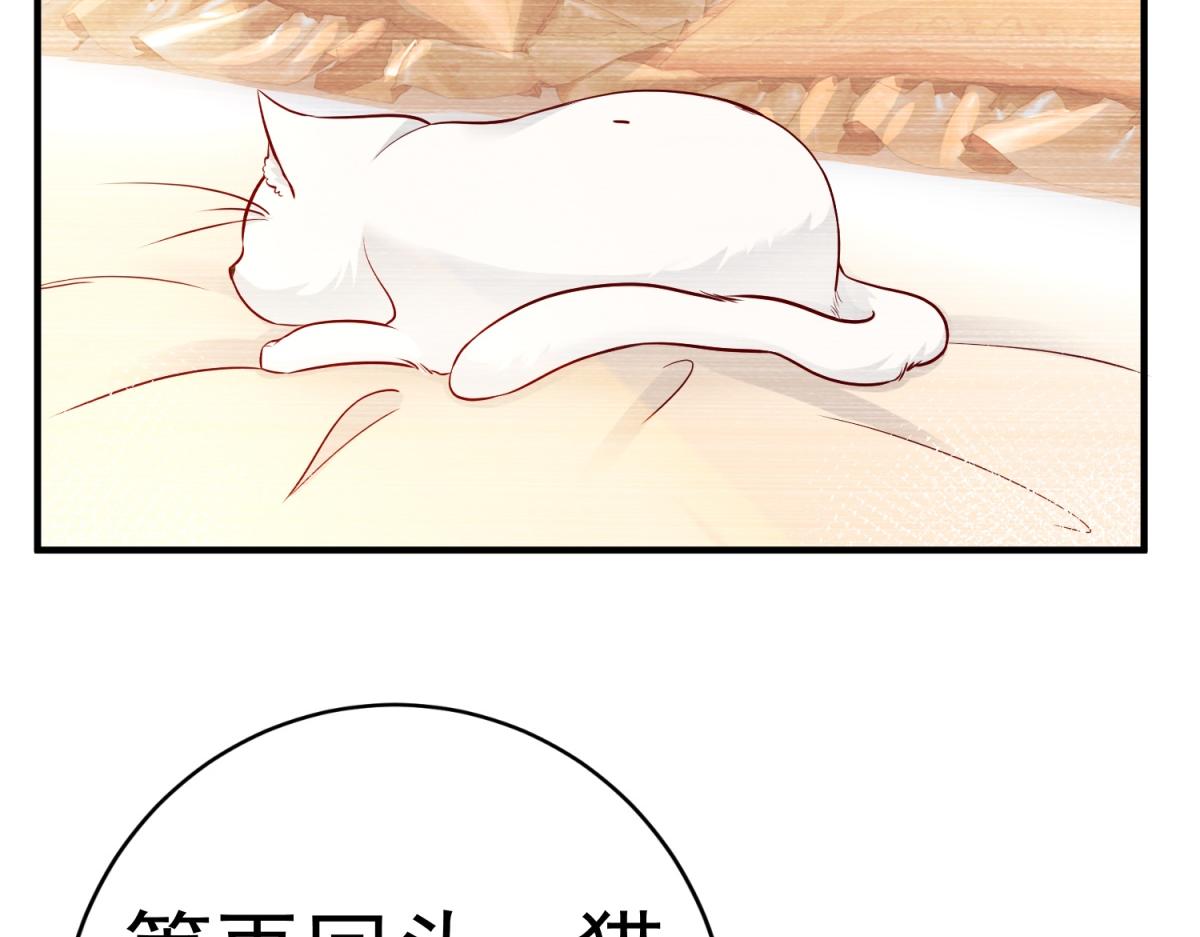 第6话 化猫为书73