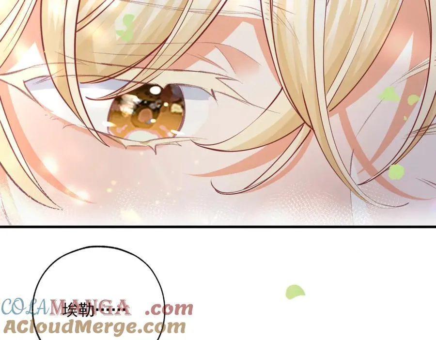 第236话 做你的骑士33