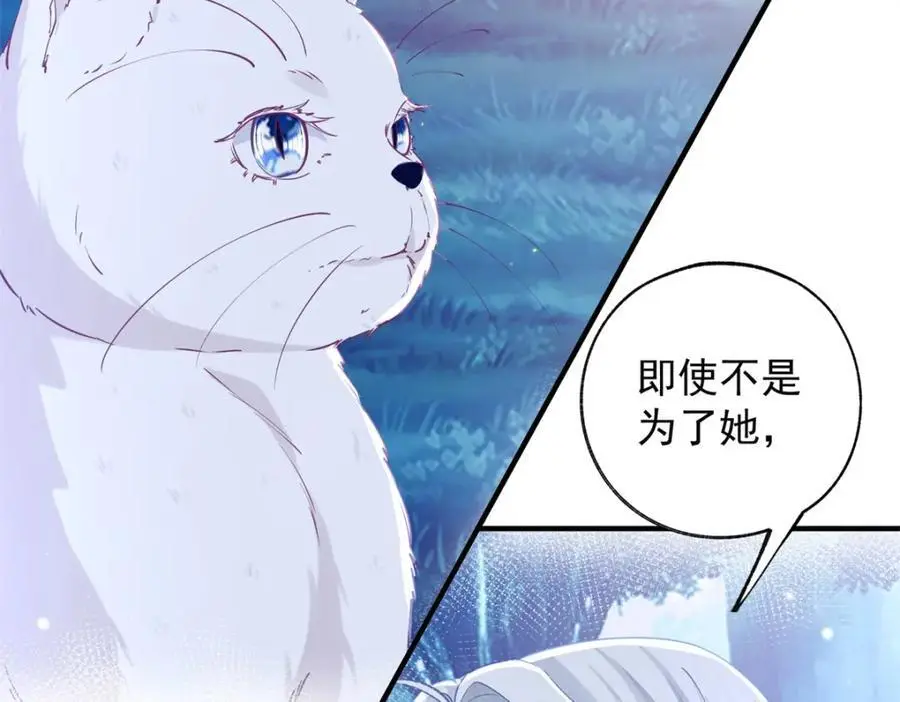 第207话 从猫到书到玩偶16