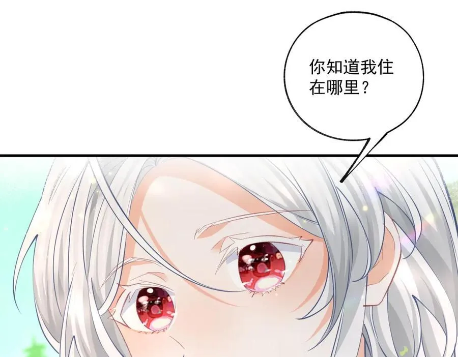 第236话 做你的骑士29