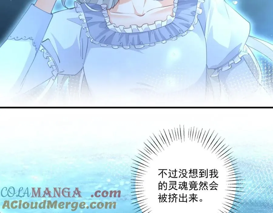第215话 贝贝的灵魂渐渐远去51