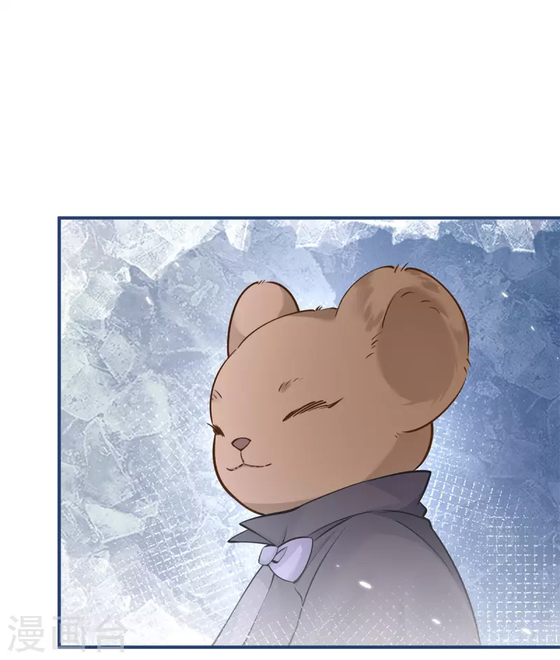 第63话 熊宝噩耗？12