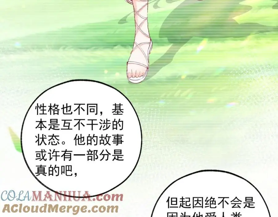 第207话 从猫到书到玩偶39