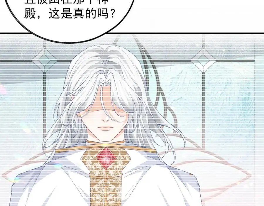 第207话 从猫到书到玩偶34
