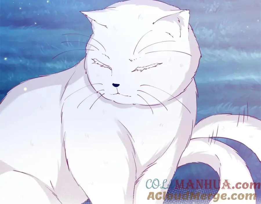第207话 从猫到书到玩偶21
