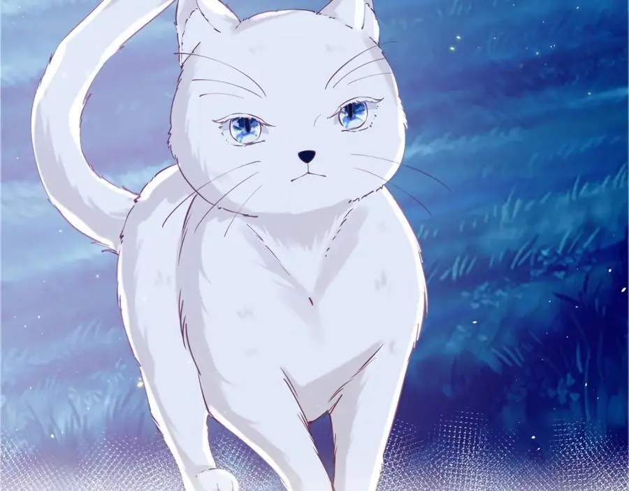 第207话 从猫到书到玩偶7
