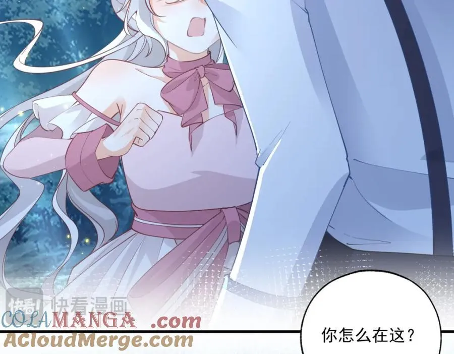 第215话 贝贝的灵魂渐渐远去36