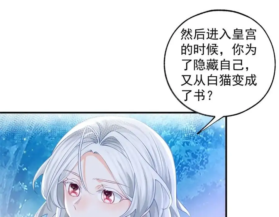 第207话 从猫到书到玩偶52