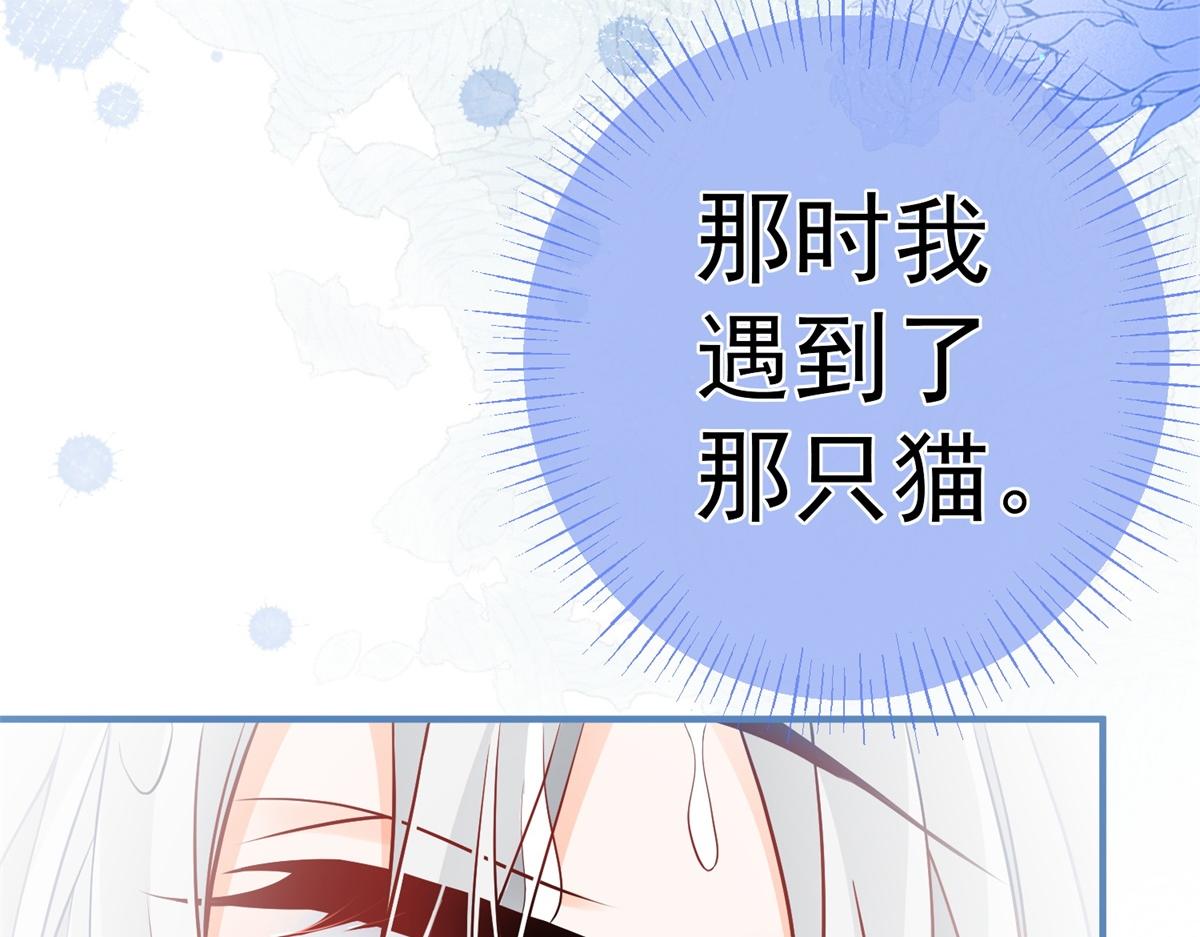 第6话 化猫为书29