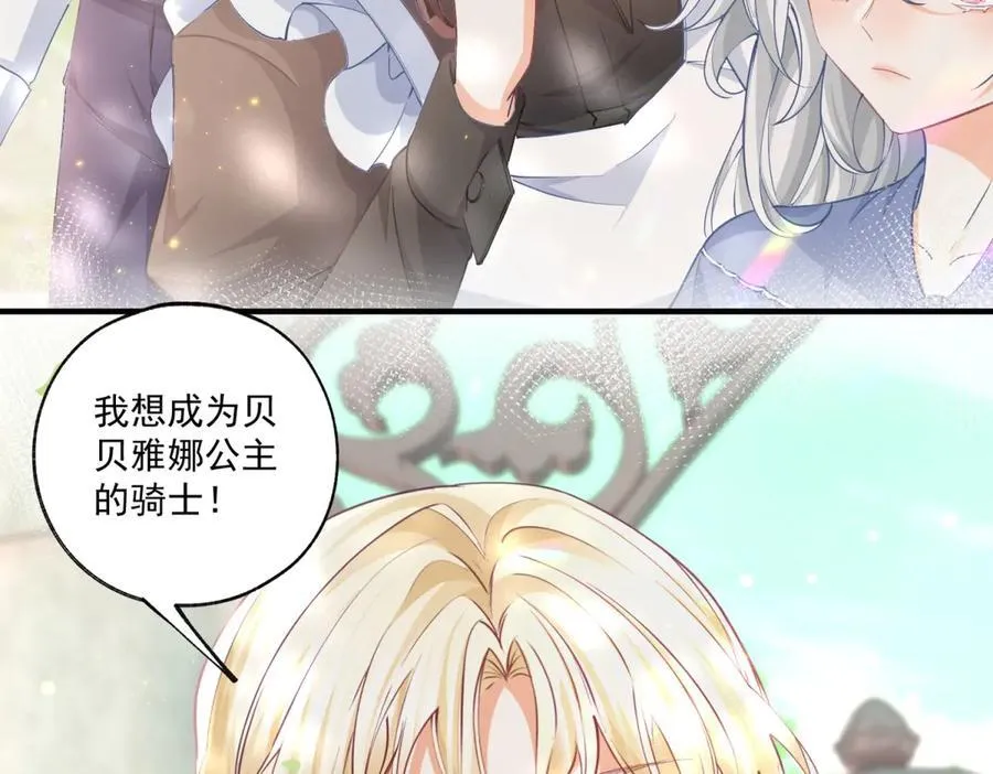 第236话 做你的骑士41