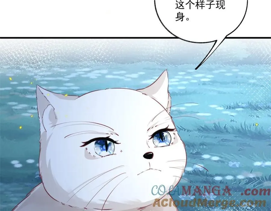 第215话 贝贝的灵魂渐渐远去6